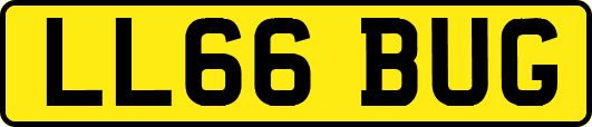 LL66BUG