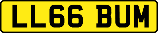 LL66BUM