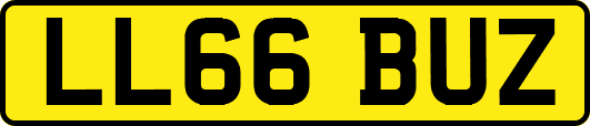 LL66BUZ