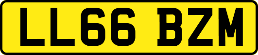 LL66BZM