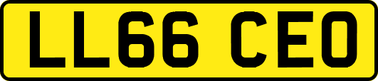 LL66CEO