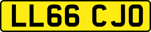 LL66CJO