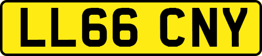 LL66CNY