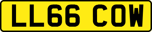 LL66COW