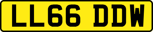 LL66DDW