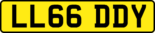 LL66DDY