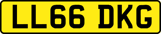 LL66DKG