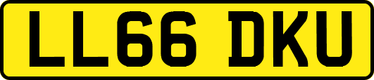 LL66DKU