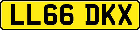 LL66DKX