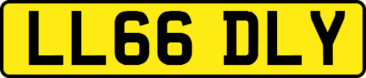 LL66DLY