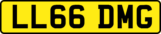 LL66DMG