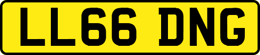LL66DNG