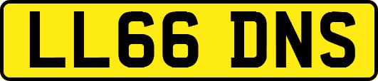 LL66DNS