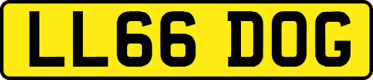 LL66DOG