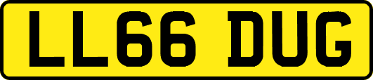 LL66DUG