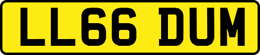 LL66DUM