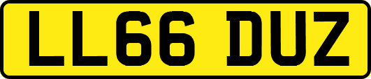 LL66DUZ