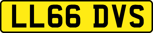LL66DVS