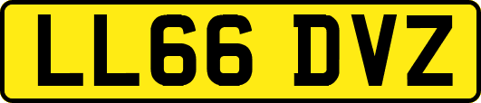 LL66DVZ