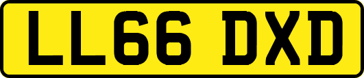 LL66DXD