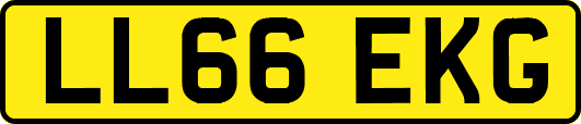 LL66EKG