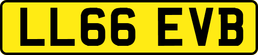 LL66EVB