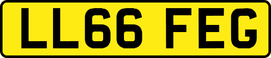 LL66FEG