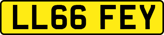 LL66FEY