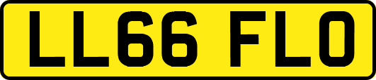 LL66FLO