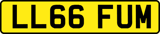 LL66FUM