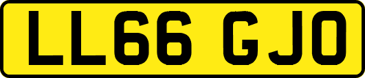 LL66GJO