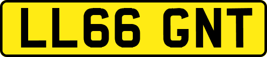 LL66GNT