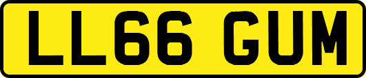 LL66GUM