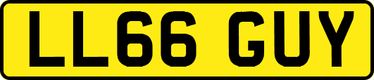 LL66GUY