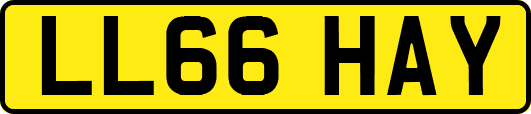 LL66HAY