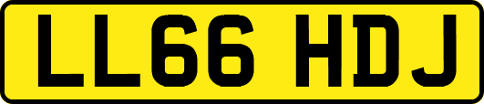 LL66HDJ