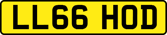 LL66HOD