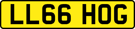 LL66HOG