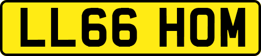 LL66HOM