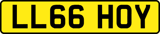 LL66HOY