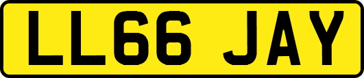 LL66JAY