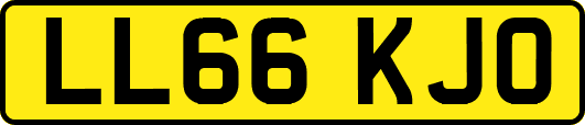 LL66KJO