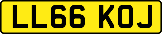 LL66KOJ
