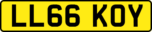 LL66KOY