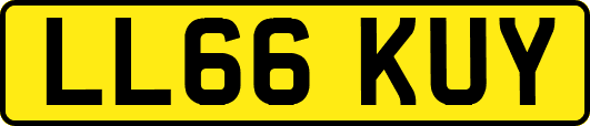 LL66KUY