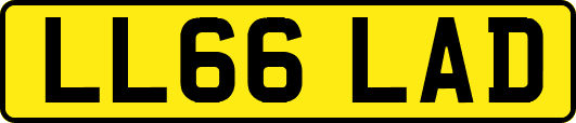 LL66LAD