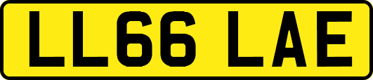 LL66LAE