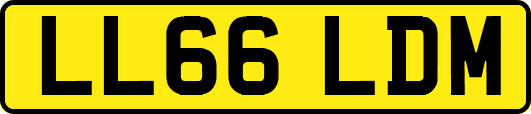 LL66LDM