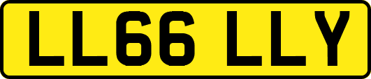 LL66LLY