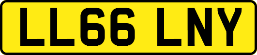 LL66LNY